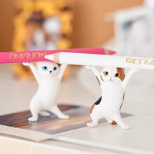 Load image into Gallery viewer, Dancing Cats Can Hold Anything
